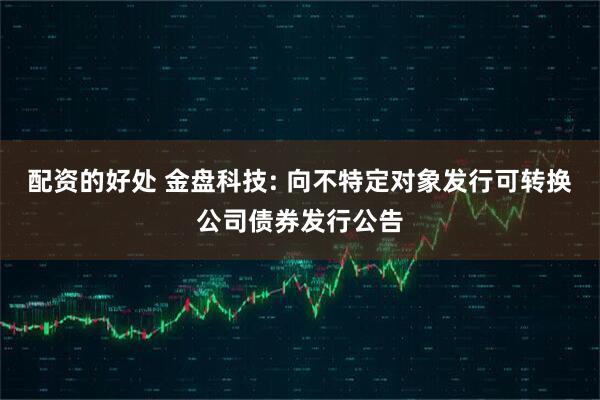 配资的好处 金盘科技: 向不特定对象发行可转换公司债券发行公告