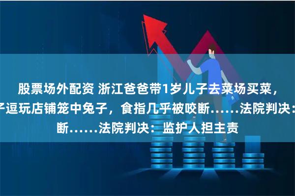 股票场外配资 浙江爸爸带1岁儿子去菜场买菜,惨案发生!儿子逗玩店铺笼中兔子,食指几乎被咬断……法院判决:监护人担主责